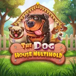 The Dog House Multihold game at Razed Casino for Australian players